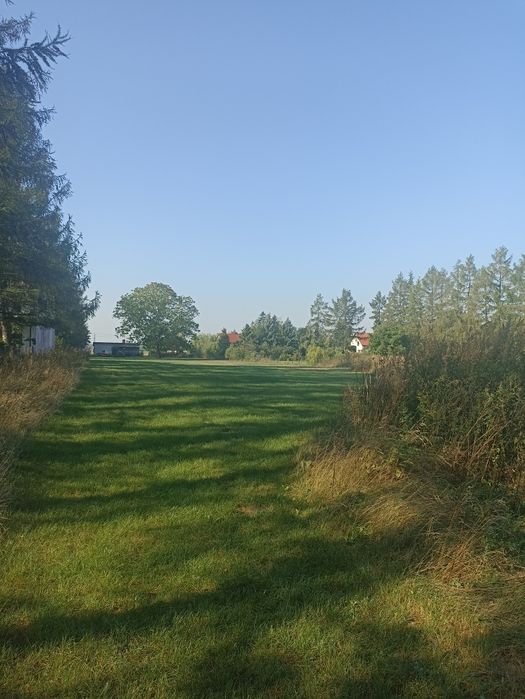 Sprzedam działkę. Elżbiecin.