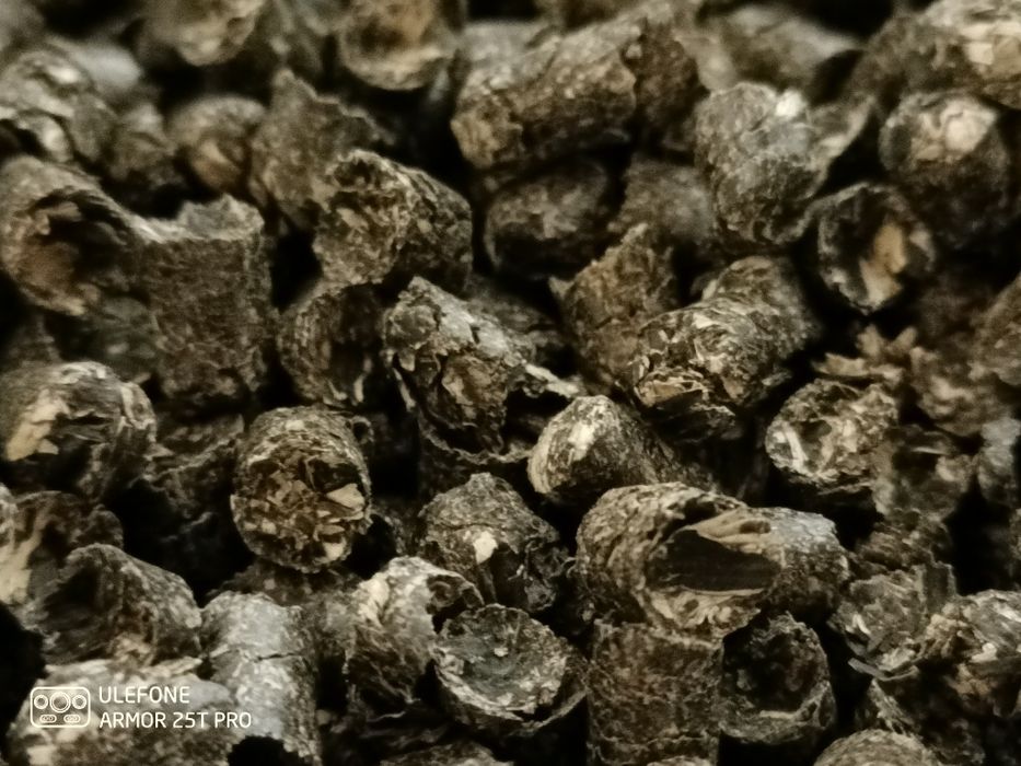 Pellet, pelet, z łuski słonecznika, słonecznikowy