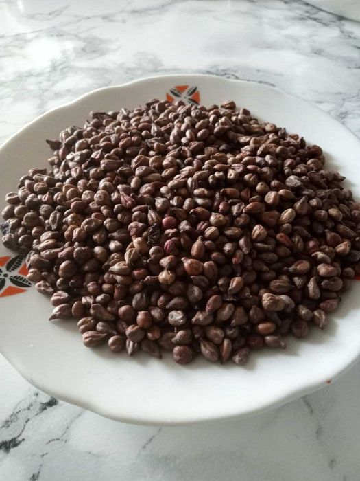 Натуральные виноградные косточки и порошок из косточек суперфуд