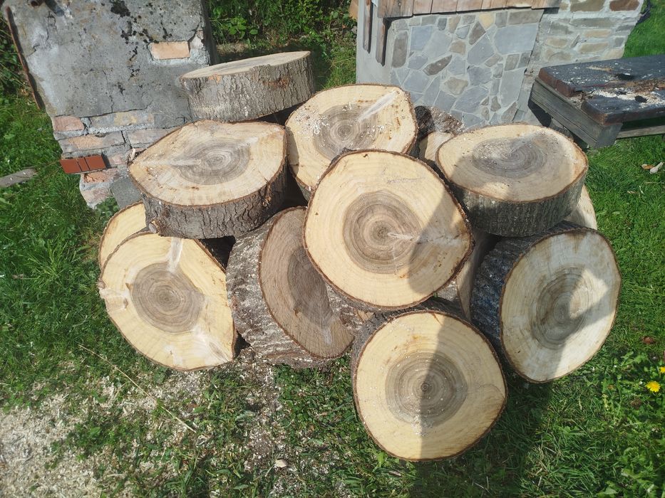 Plastry topola idealne na stolik