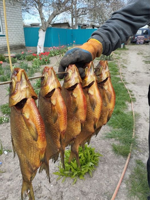 Копчена риба лящі,сом,товстолоб