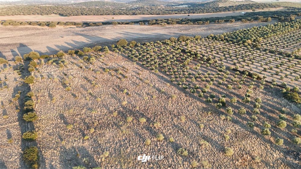 Terreno 4,5ha a 5 minutos de Vila Boim