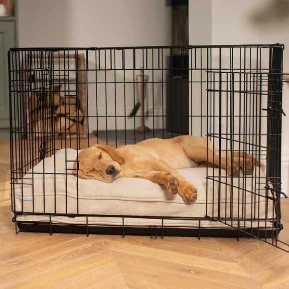 Клетка для собак, переноска вольер манеж для собак ПОЛЬША все размеры