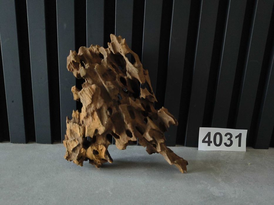 korzeń Drift Wood 4031 jak Dragon Stone akwarium terrarium 20x17x10