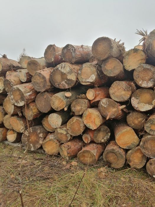 SUCHE drewno opałowe RÓŻNE!