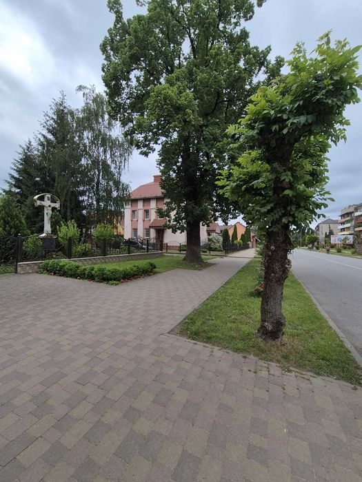 Продається будинок з чудовим краєвидом  у селі  Березний