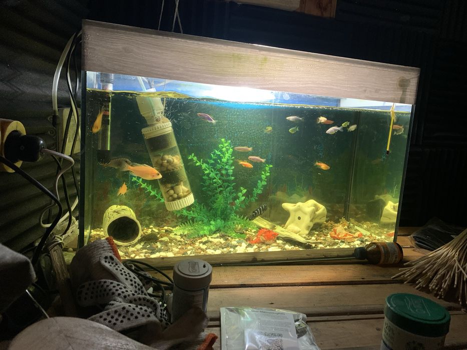 Аквариум 60 л, почти новый