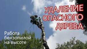 спил деревьев любой сложности