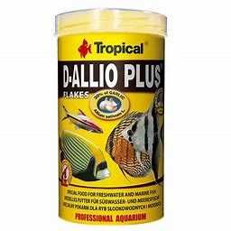 comida peixes tropical