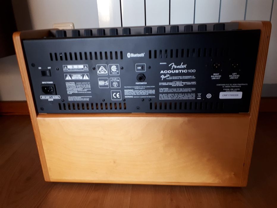 Fender Acustic 100