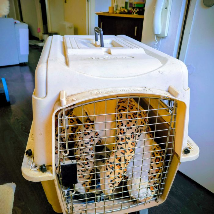 Caixa Transportadora de Animais VARIKENNEL – Tamanho 2