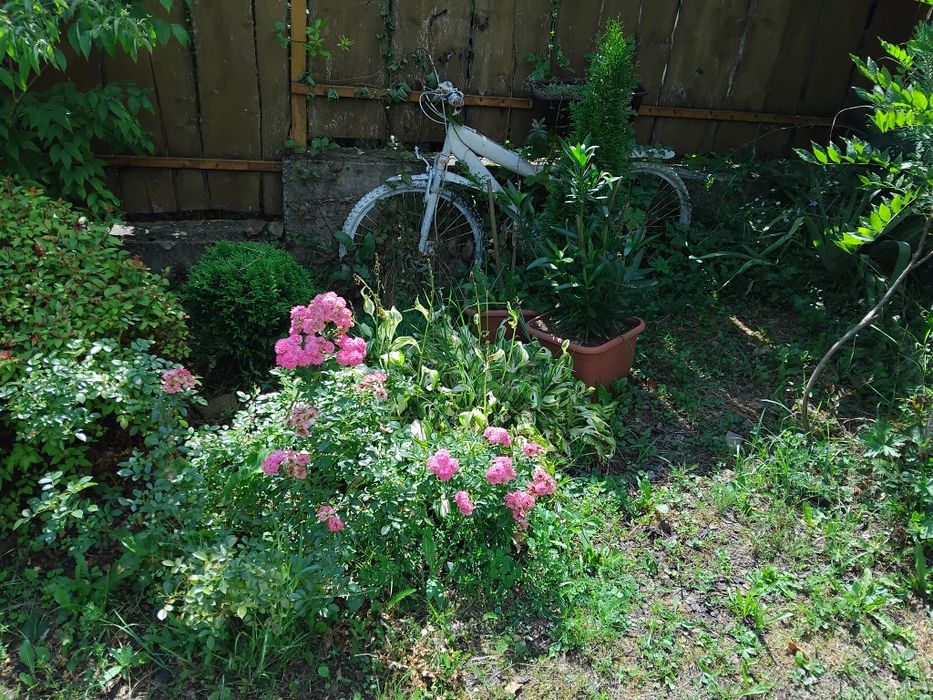 Ціну знижено! Продаю чудовий будинок садибу у Карпатах Сусково