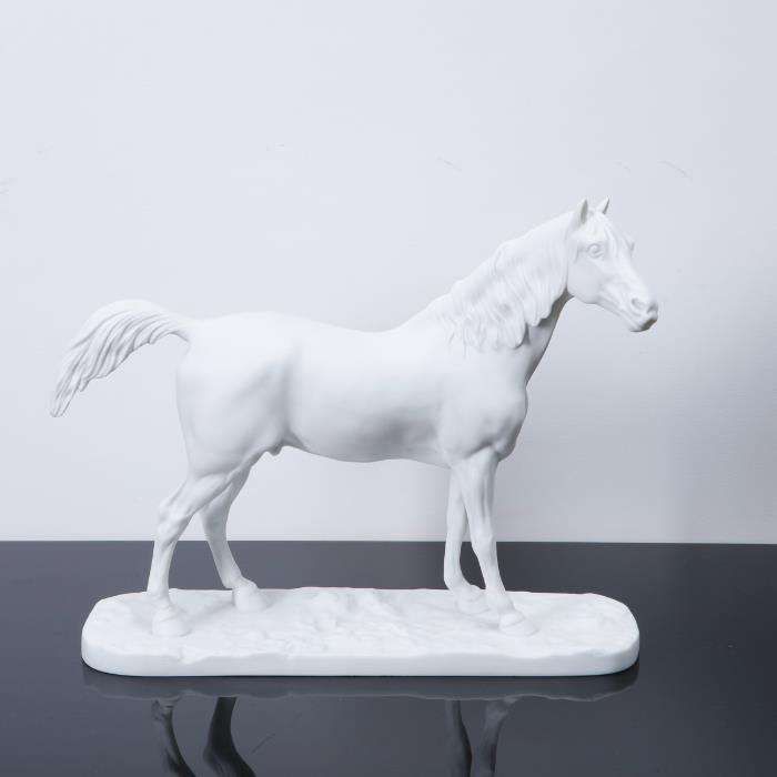 Cavalo da Vista - Alegre