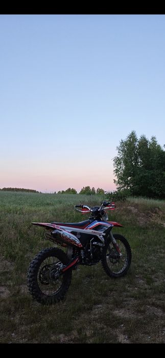 Lizzard RFZ 250r