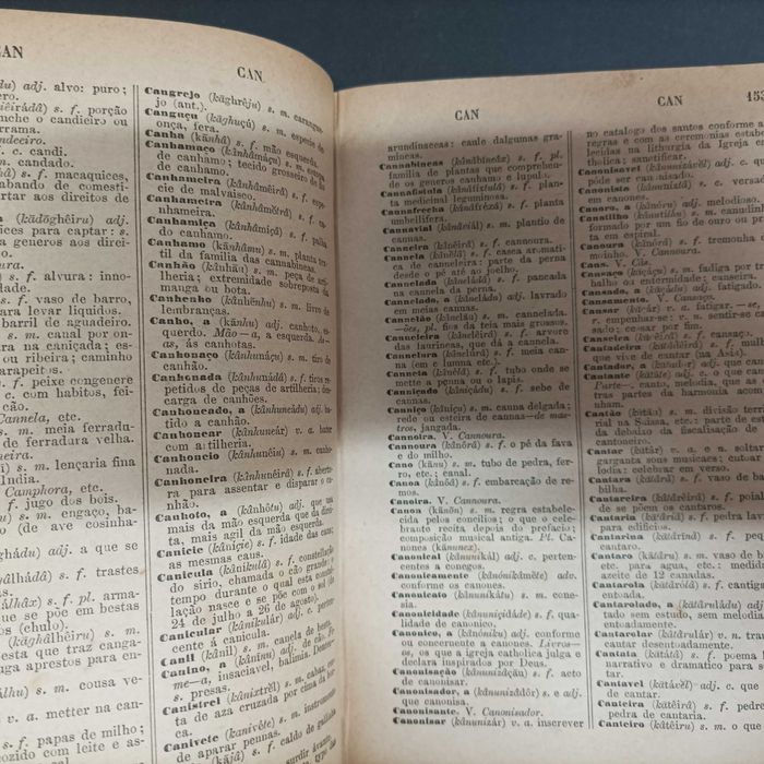 Diccionario Prosodico, Antonio José de Carvalho e João de Deus – ano 1890 –