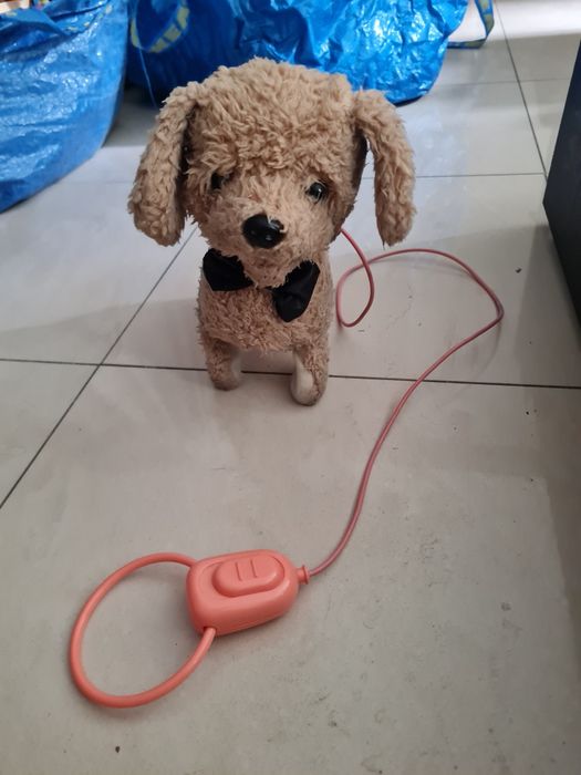 Piesem szczeka, macha ogonkiem, chodzi. Chyba PRL