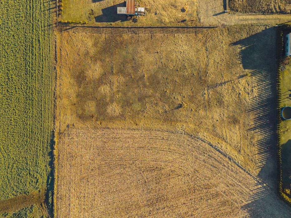 Działka budowlana 30,06 ar z warunkami zabudowy | prąd | 2km od Rypina