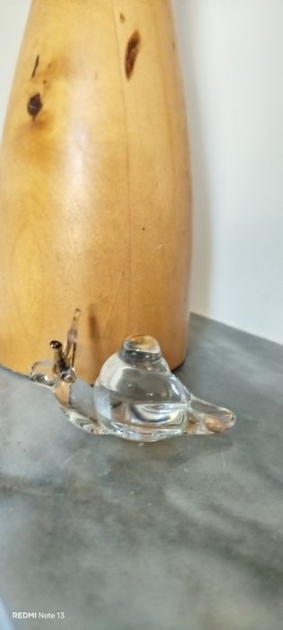 Peixe e caracol em vidro