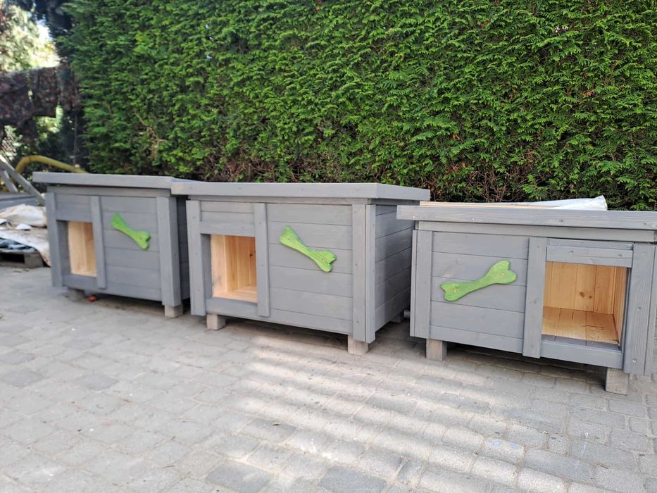 Budy dla piesków duży wybór DOSTĘPNE OD RĘKI