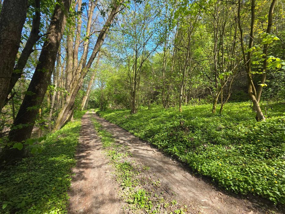 Budowlana działka w lesie 6Arowa/Czułów gm.Liszki/Prąd Woda Światłowód - Widok 5