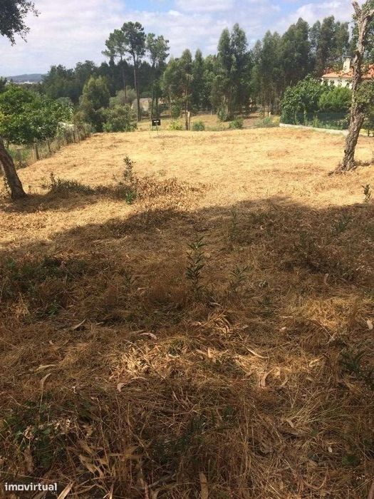 Terreno Marrazes / Leiria