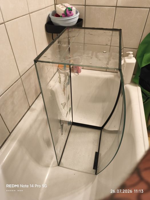 Duże akwarium, gięta szyba