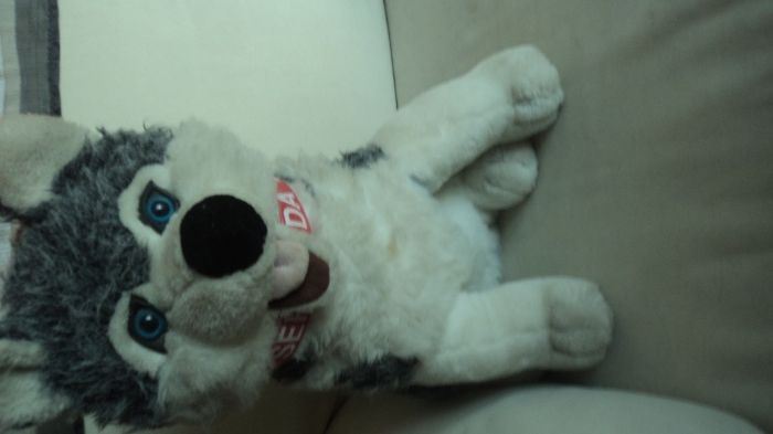 Cão de Peluche "Serra da Estrela"