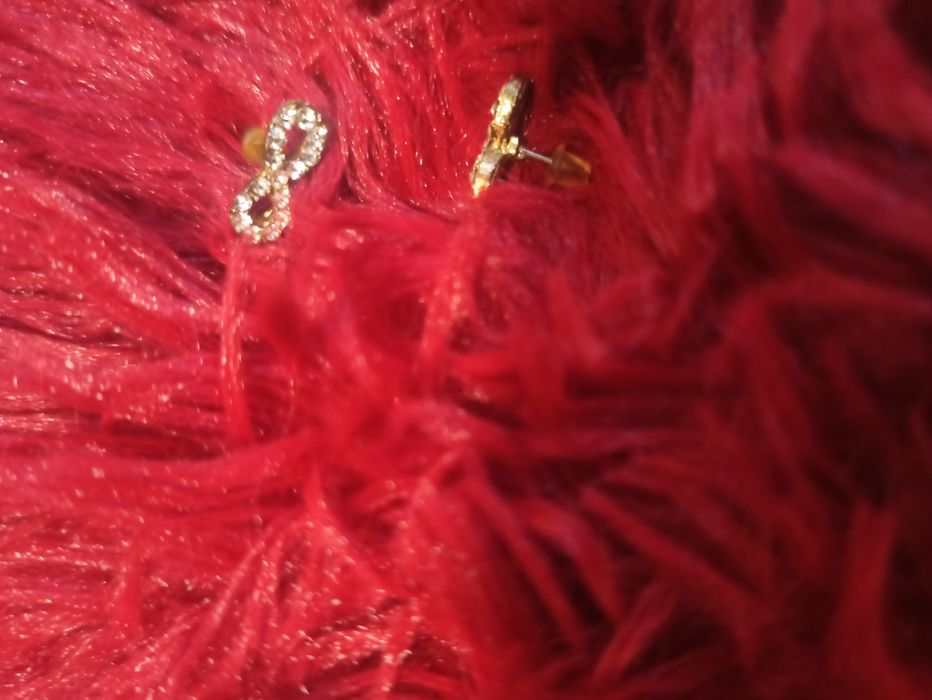 Кульчики гвоздики. Безкінечності срібло