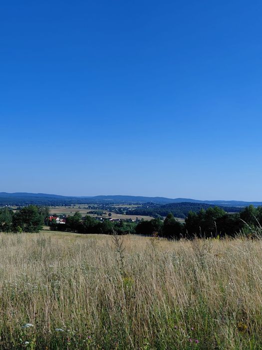 Działka z warunkami zabudowy