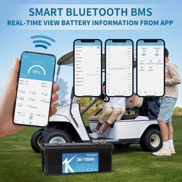 Lithium LiFePO4 Battery 100AH | 150AH 36V BMS, Bluetooth, GRADE A64284534347906121