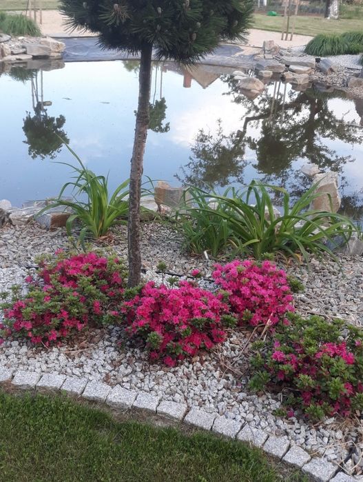 pokoje apartament noclegi do wynajęcia pensjonat u cioci Reni