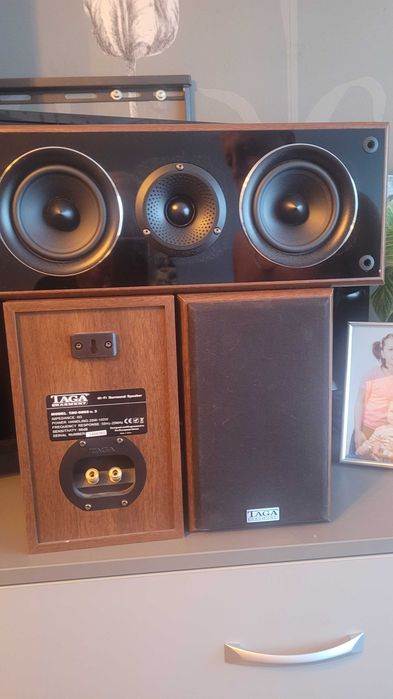 wieża pioneer, głośniki