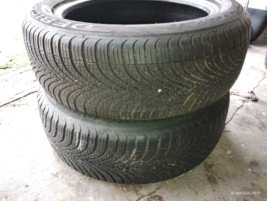 Para opon zimowych Dębica 195/55R16