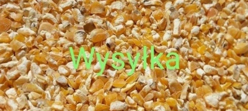 Kukurydza gnieciona walcowana 25kg dla kur i innych zwierząt