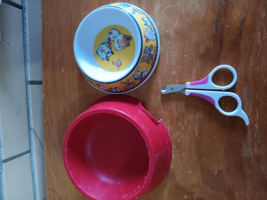 Acessorios de animal