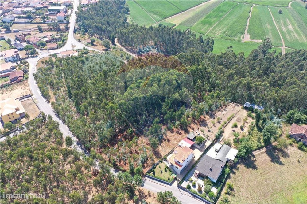 Terreno  para venda — Macinhata do Vouga, Aveiro