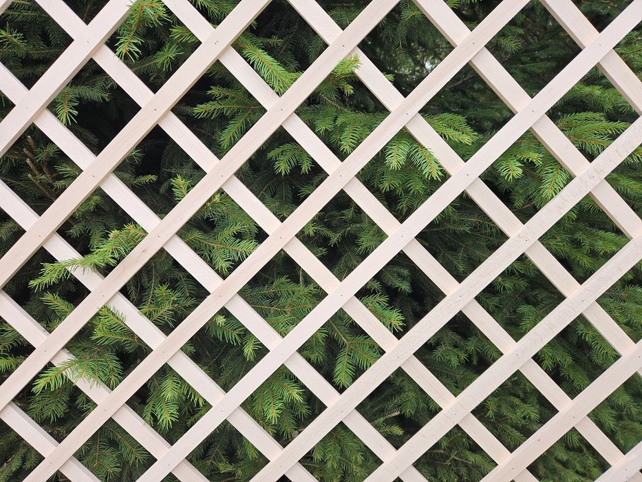 Pergola ogrodowa ( kratka drewniana ) ogród cena za m2