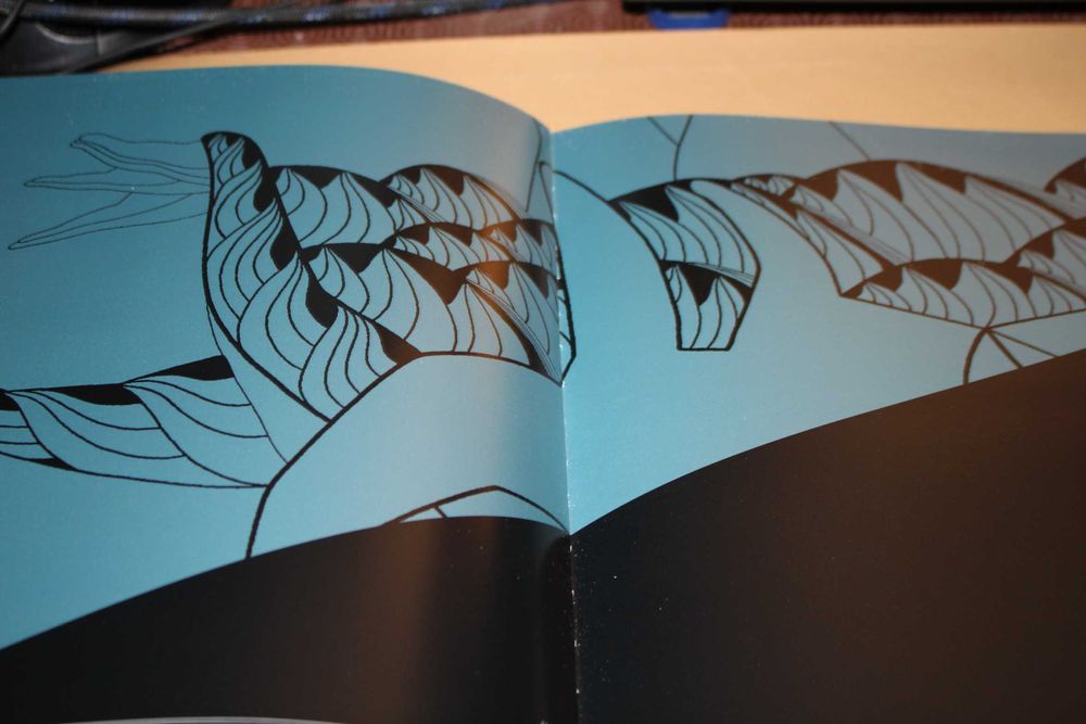 Gesto Sem Fronteiras // Álvaro D ; Luís Pedro Silva; Valter Hugo Mãe