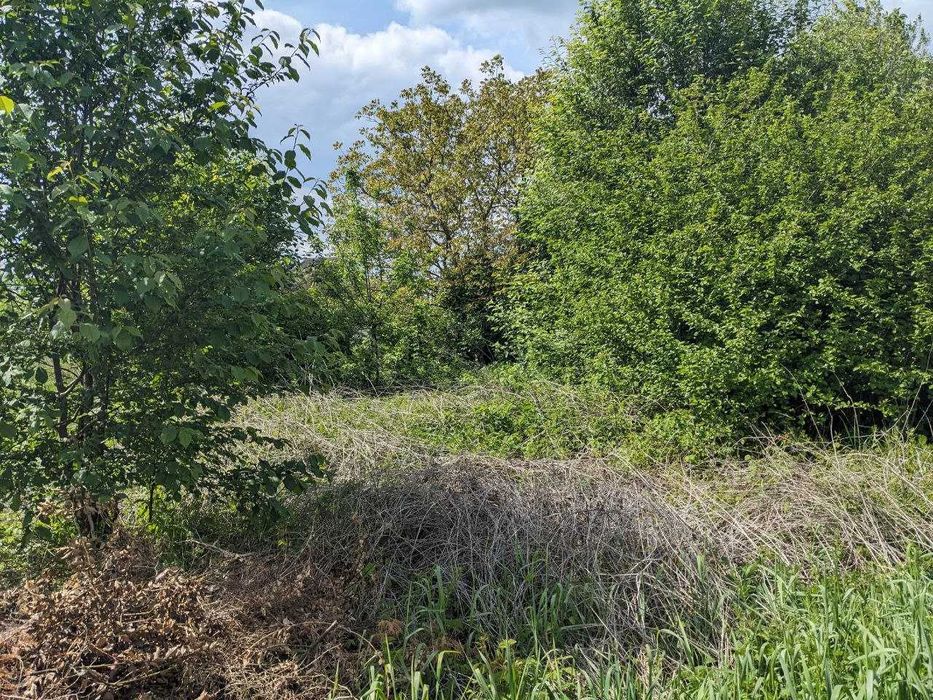 Продається 12 сот під будівництво в с.Загвіздя (8)