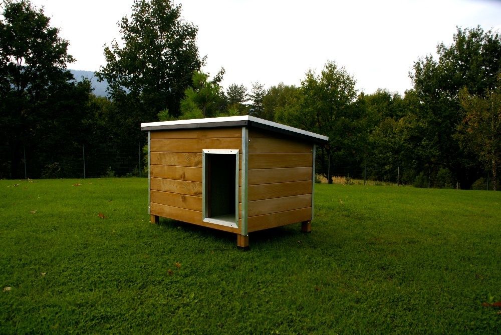 Buda dla psa ROCKY 2