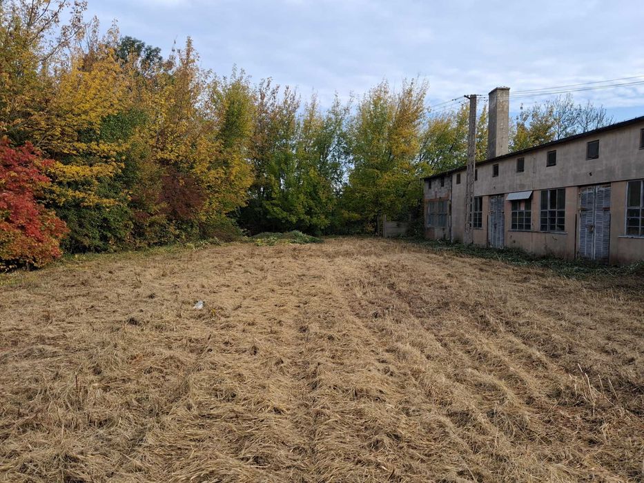 Pół utwardzony plac do wynajęcia, 3000m2, TIR, PKP, A2, dozór siła