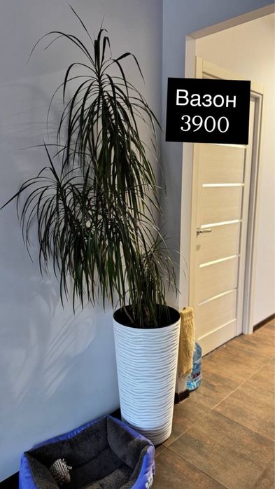 Продаж меблів для салону, манікбру, педикюру київ