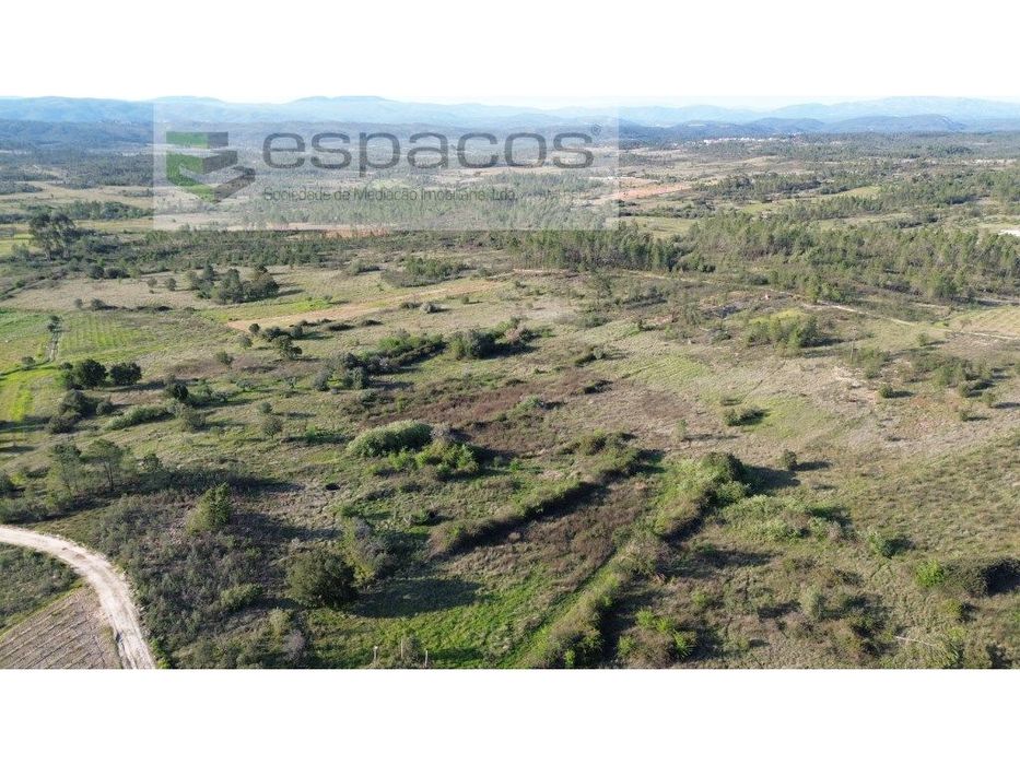 Terreno com 2 poços - S. Domingos