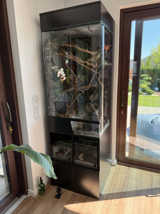 Zestaw terrarium