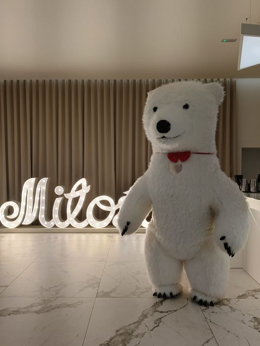 *Biały Miś*Dmuchańce*