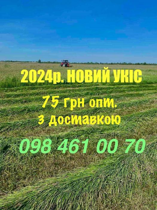 Сіно(сено) в тюках 2025р.. від ВИРОБНИКА
