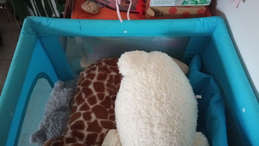 Parque de criança da Chicco