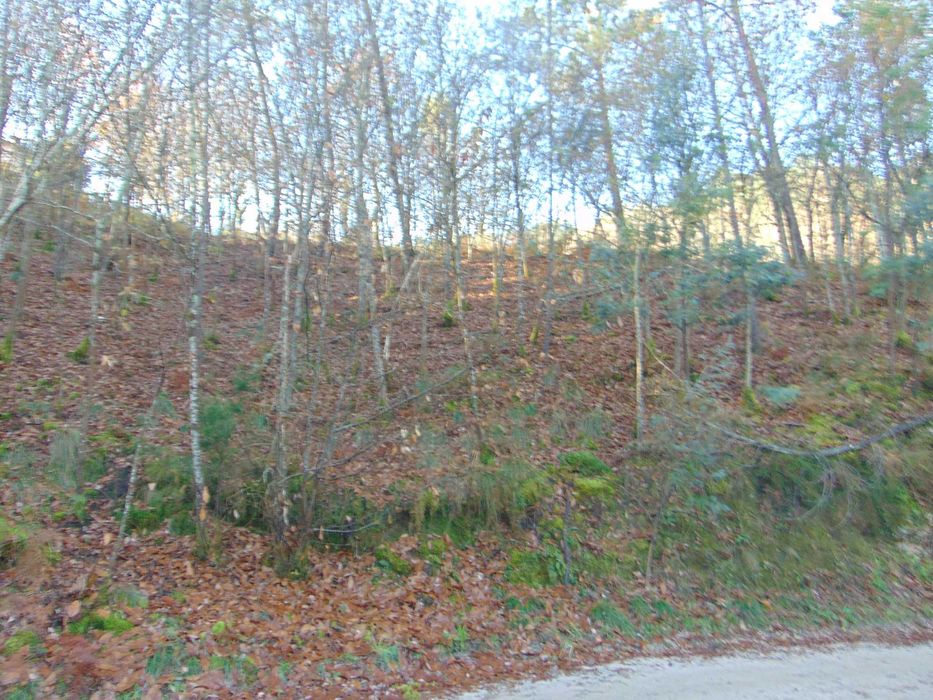 Venda de terreno Gerês perfeito para quem procura paz e tranquilidade.