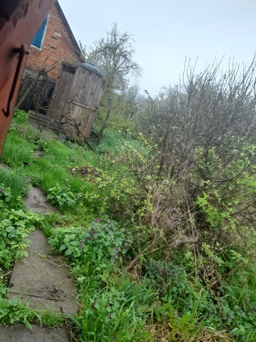 Здам будинок в оренду