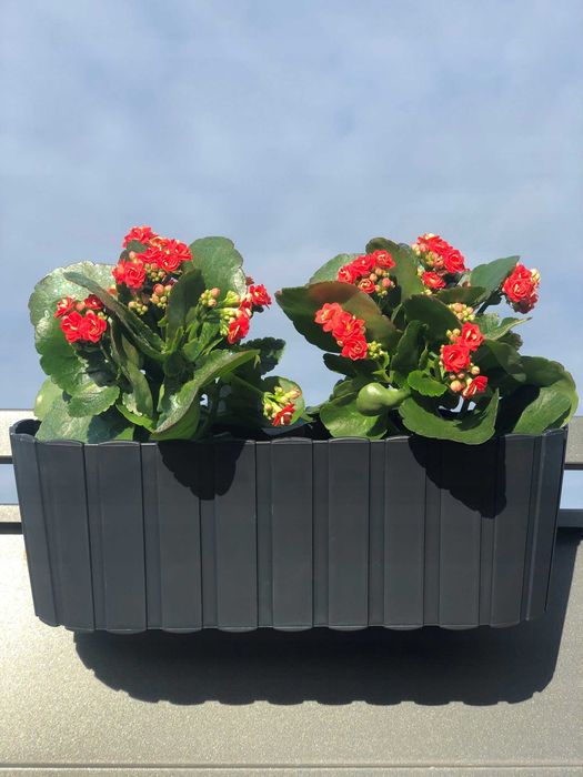 Doniczka balkonowa donica skrzynka owalna na balustradę antracytowa